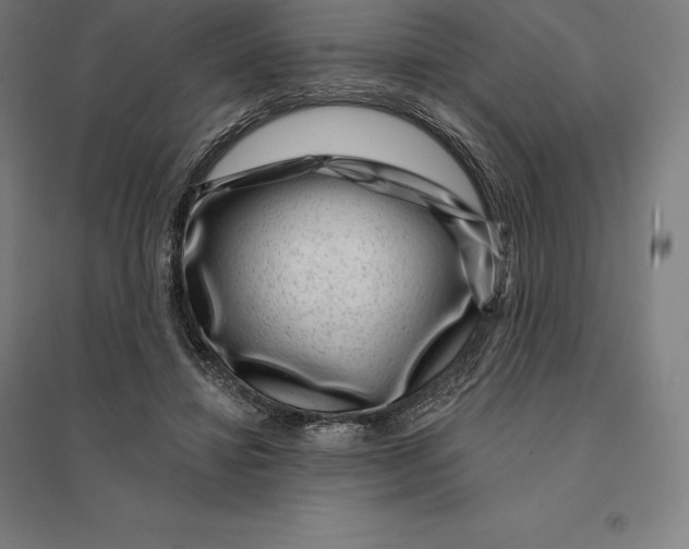 X0000095130452200712301828