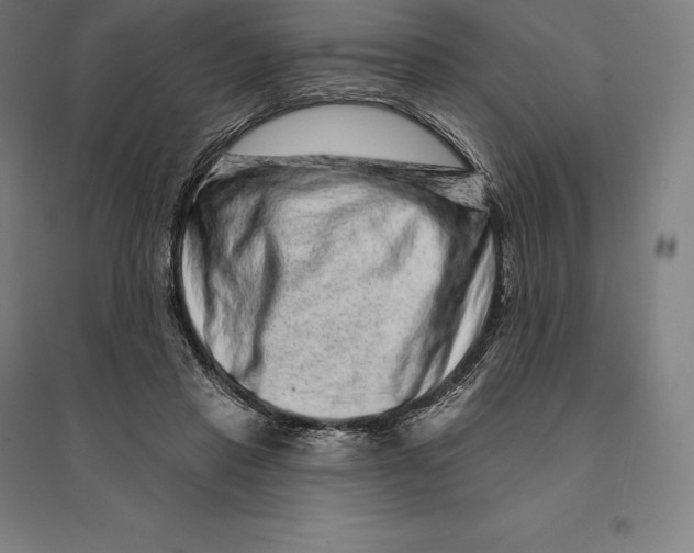 X0000095130453200712301828