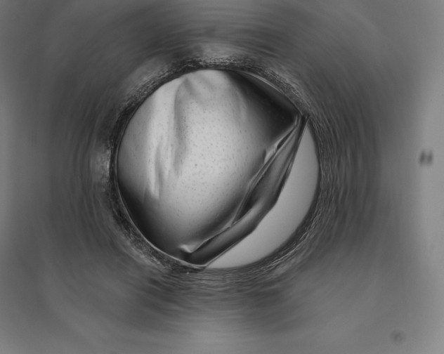 X0000095130454200712301828