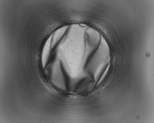 X0000095130455200712301828