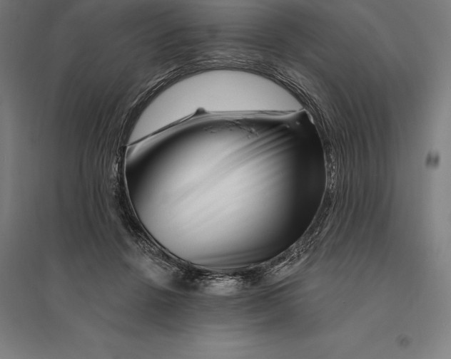 X0000095130456200712301828