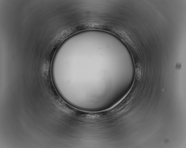 X0000095130458200712301828