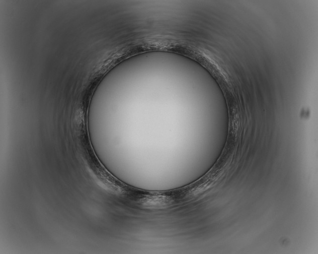 X0000095130459200712301828