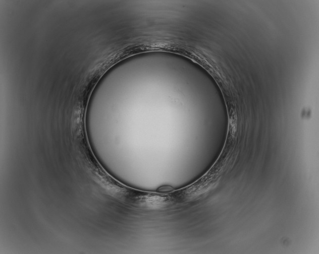 X0000095130462200712301828