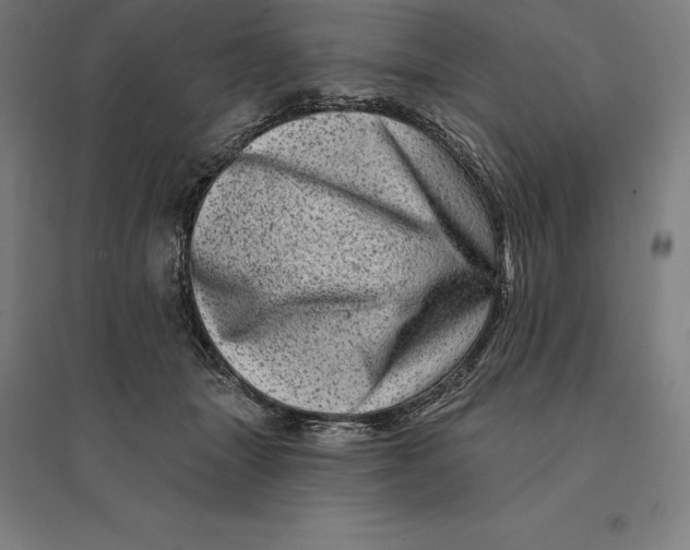 X0000095130463200712301828