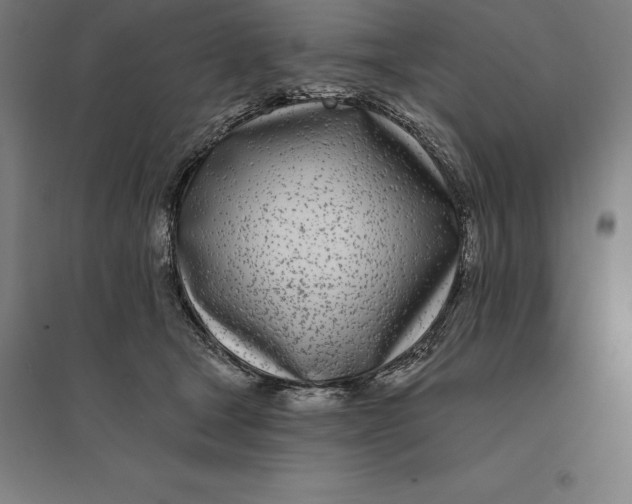 X0000095130465200712301828