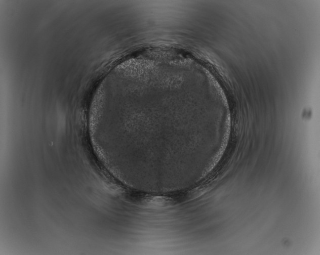 X0000095130467200712301828