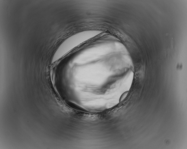 X0000095130469200712301828