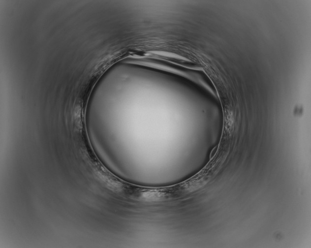 X0000095130470200712301828