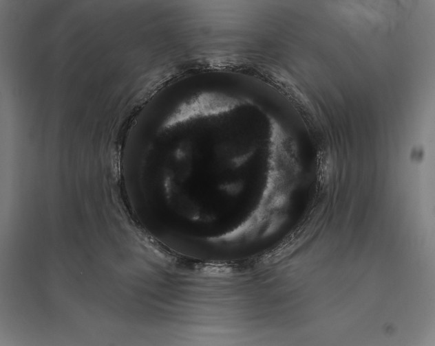 X0000095130471200712301828