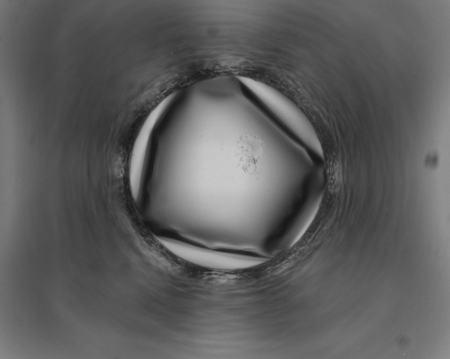 X0000095130472200712301828