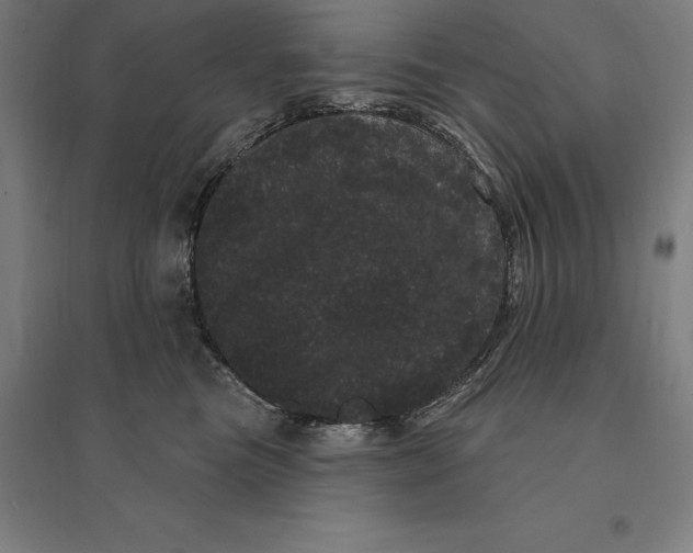 X0000095130473200712301828