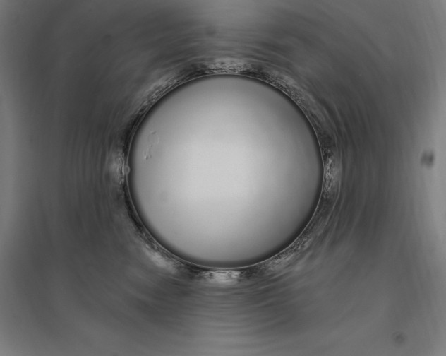 X0000095130474200712301828