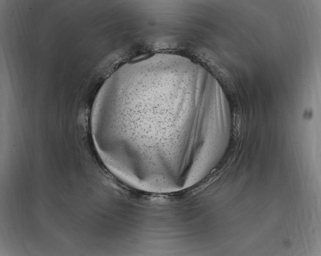 X0000095130475200712301828