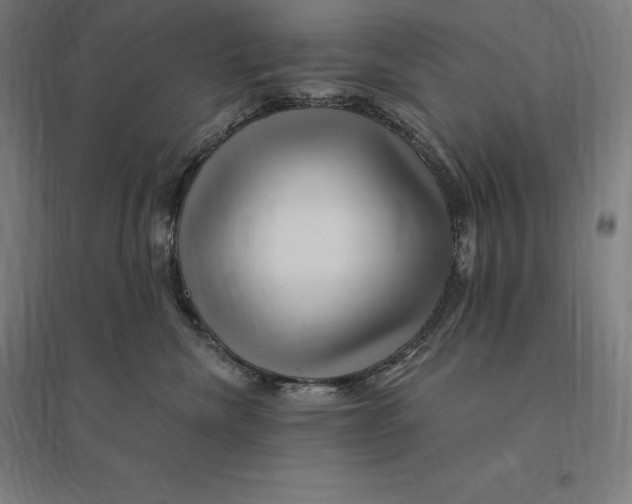 X0000095130476200712301829