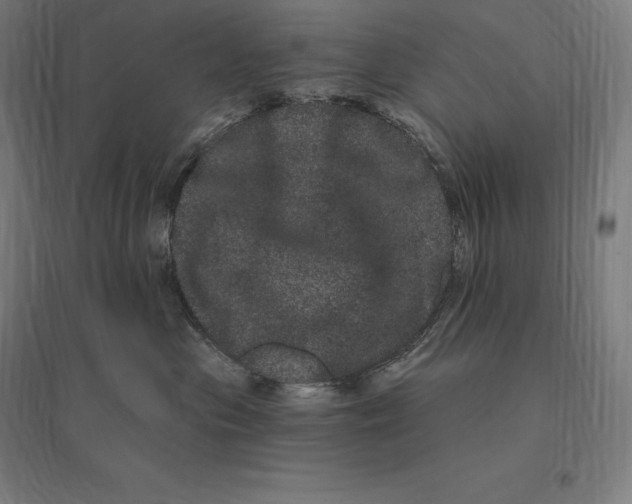 X0000095130477200712301829