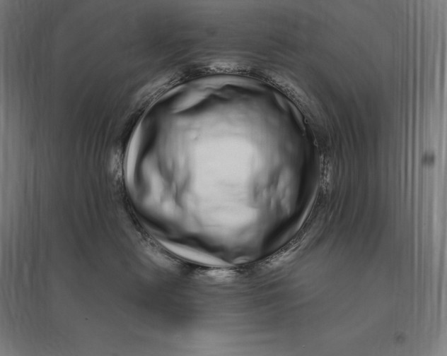 X0000095130478200712301829