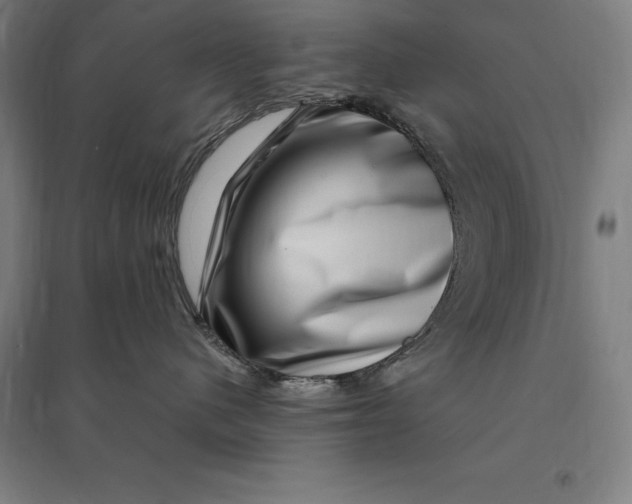 X0000095130480200712301829