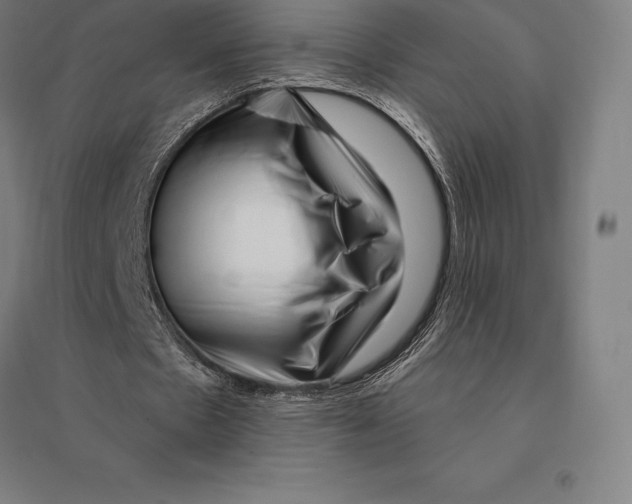 X0000095130481200712301828