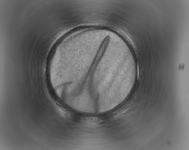 X0000095130483200712301828