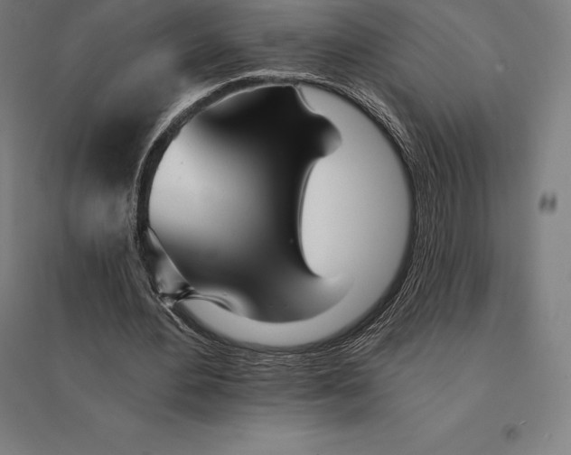 X0000095130484200712301828