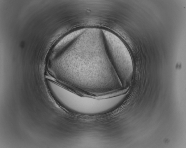 X0000095130485200712301828