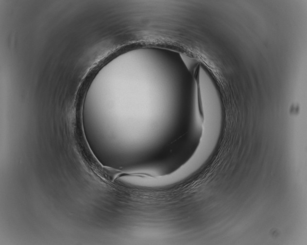 X0000095130488200712301828