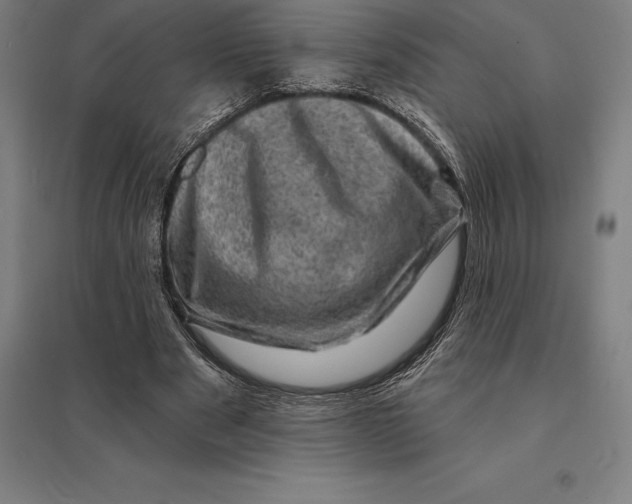 X0000095130489200712301828