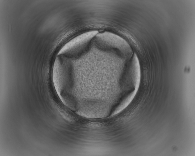 X0000095130490200712301828