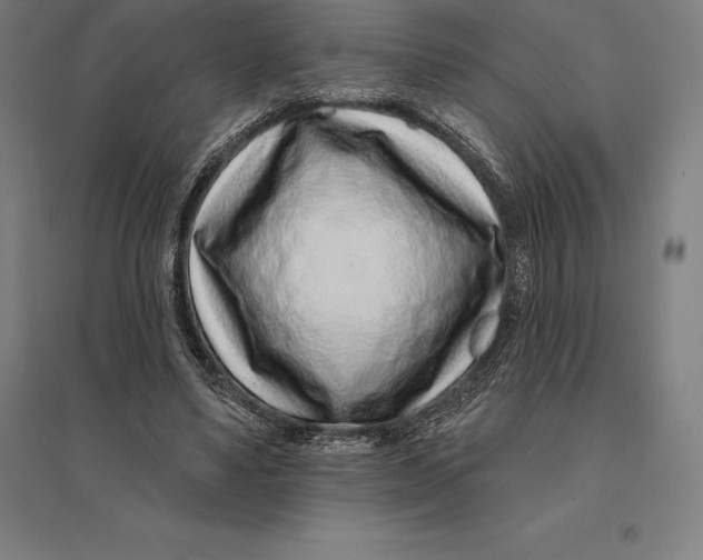 X0000095130491200712301828