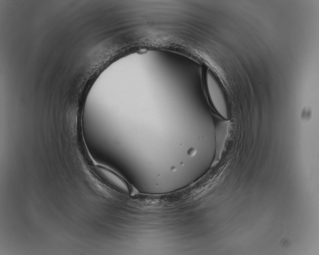 X0000095130493200712301828