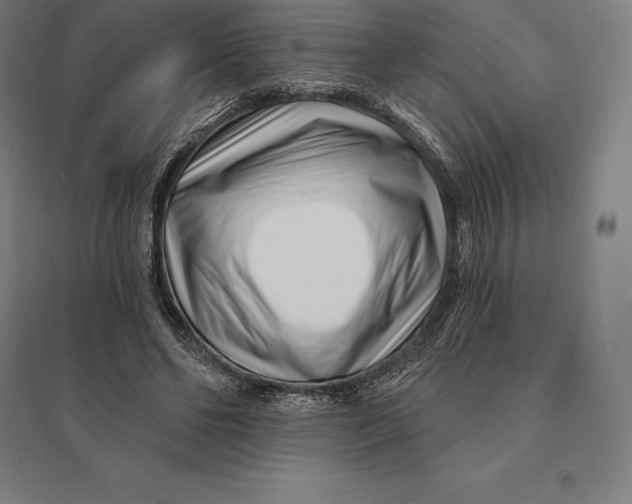 X0000095130494200712301828