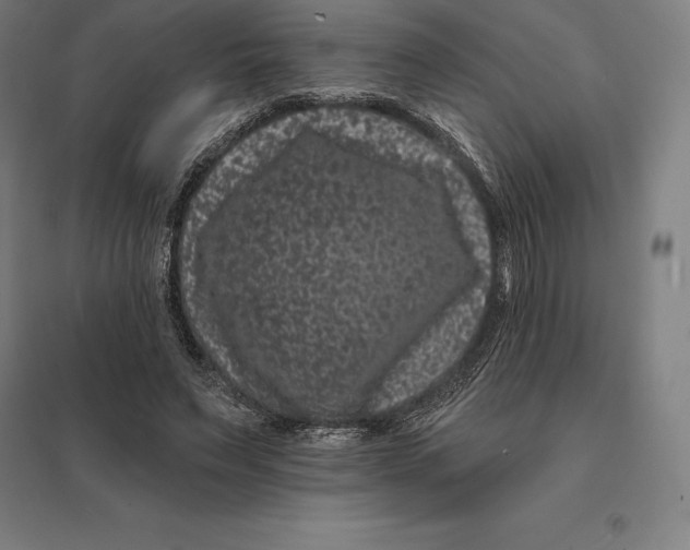 X0000095130495200712301828