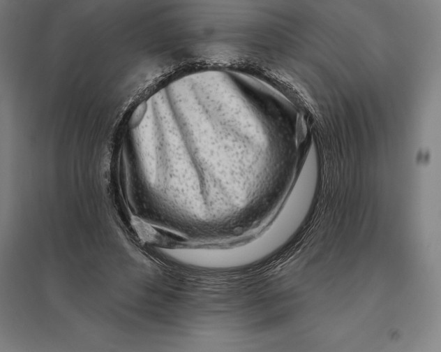 X0000095130496200712301828