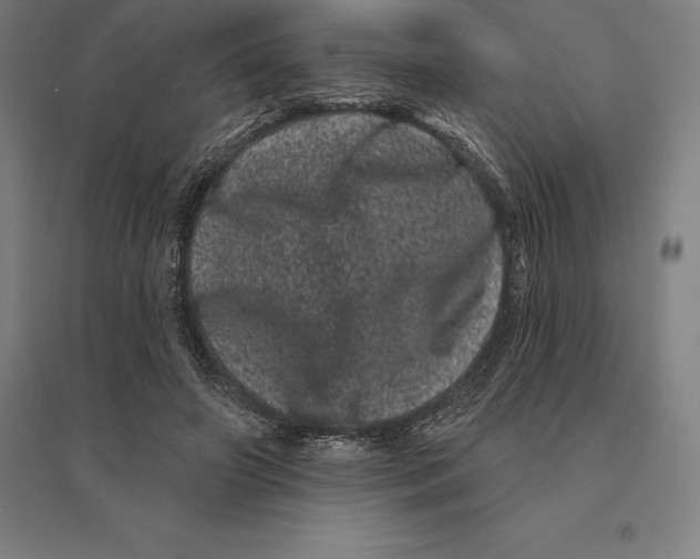 X0000095130498200712301828