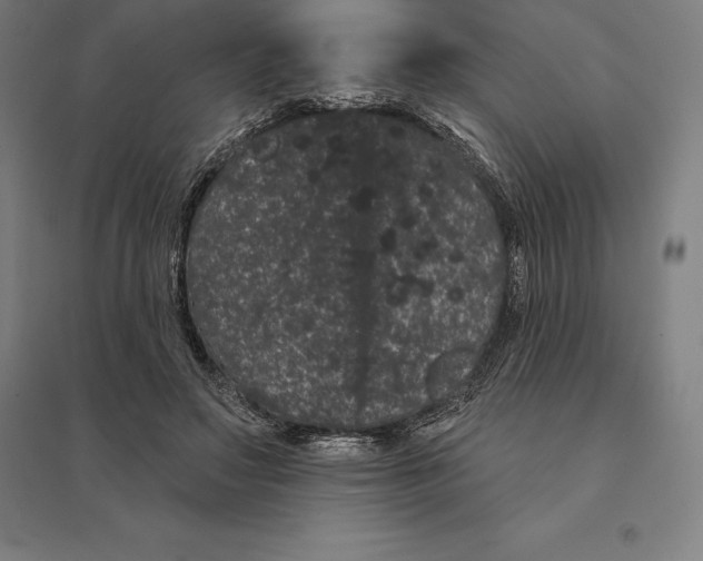 X0000095130499200712301827