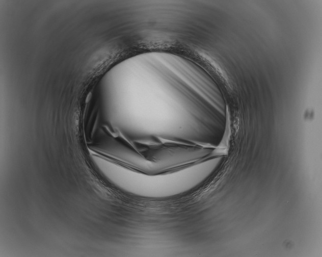 X0000095130501200712301827