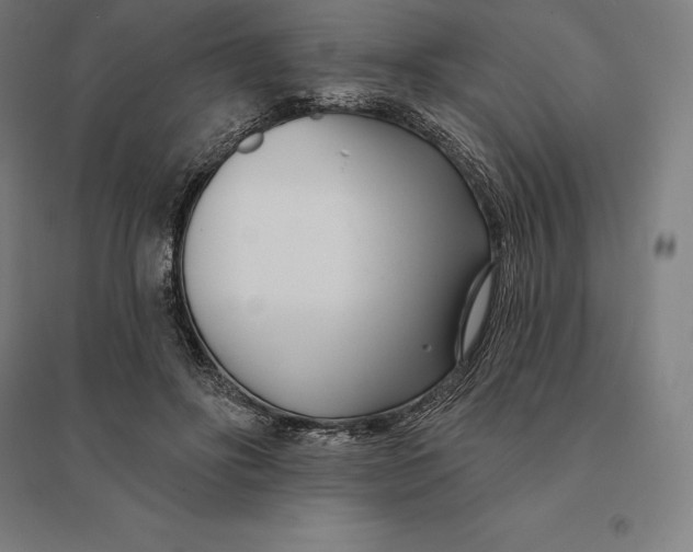 X0000095130502200712301827