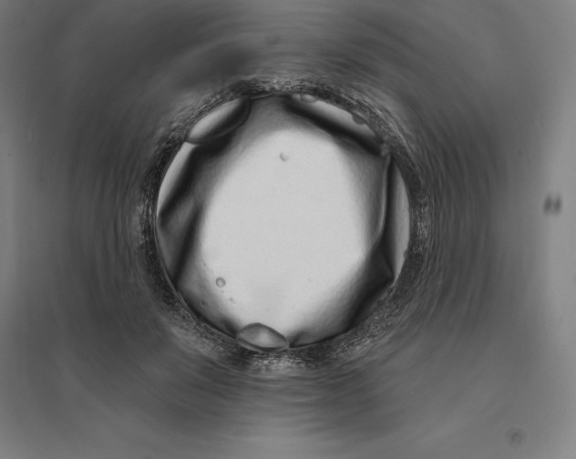 X0000095130503200712301827