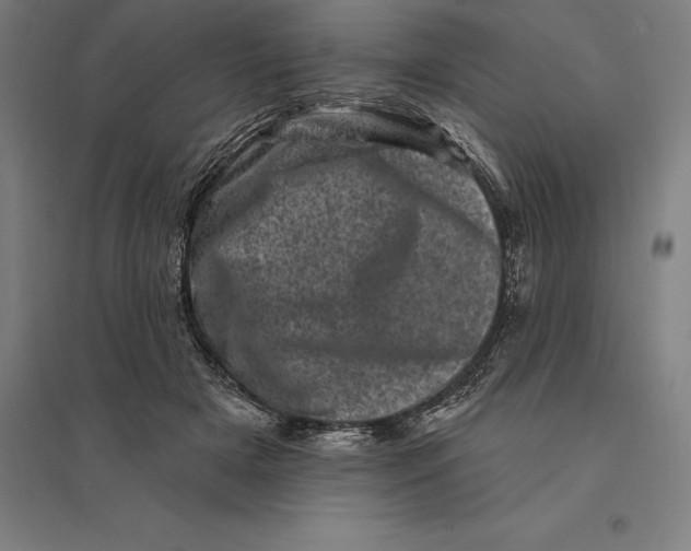 X0000095130505200712301827