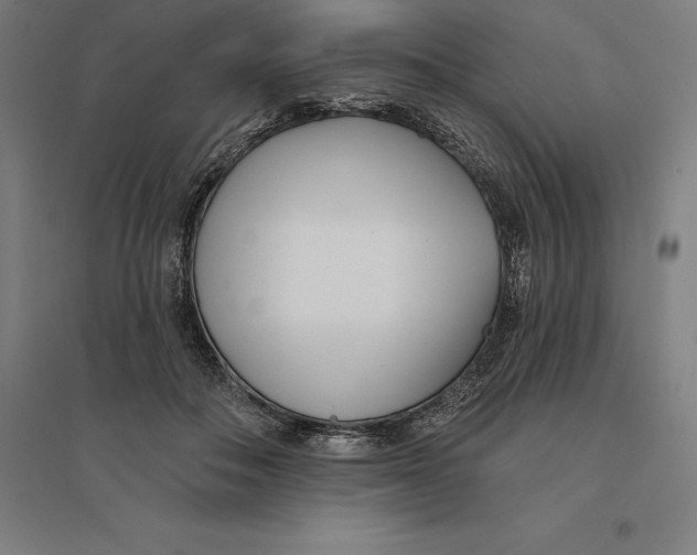 X0000095130506200712301827