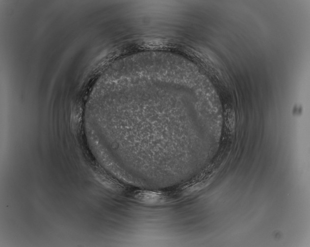 X0000095130507200712301827