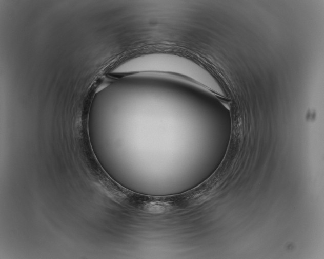 X0000095130508200712301827