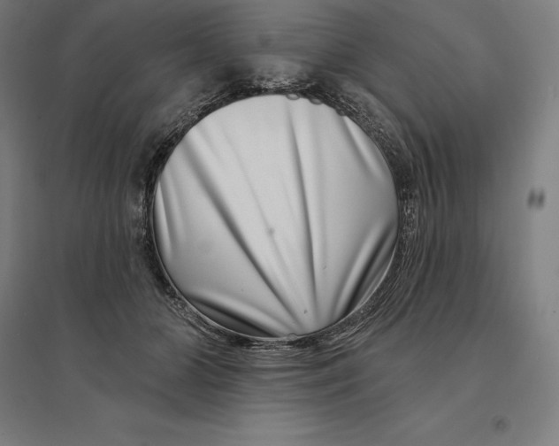 X0000095130510200712301827