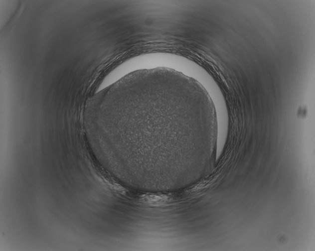 X0000095130512200712301827