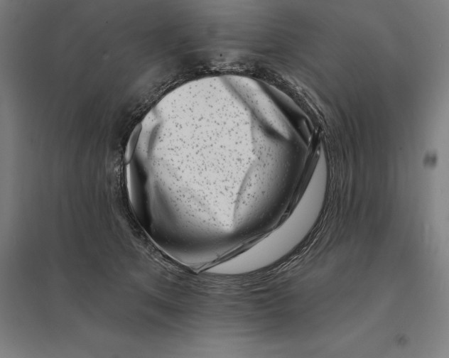 X0000095130513200712301827