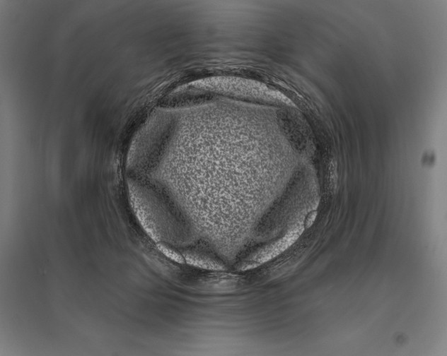 X0000095130514200712301827