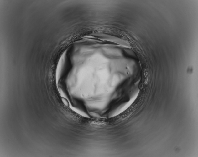 X0000095130515200712301827