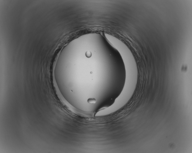 X0000095130516200712301827