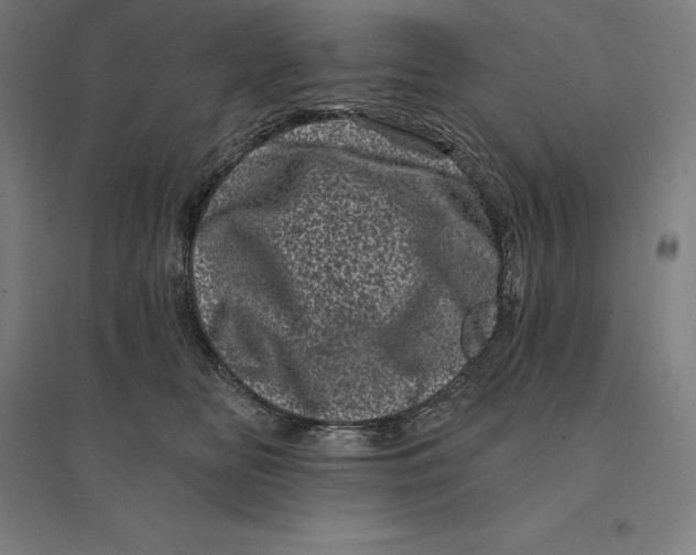 X0000095130518200712301827